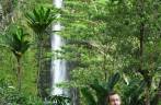 A bela Akaka Falls, perto de Hilo, em Big Island, no Hawaii